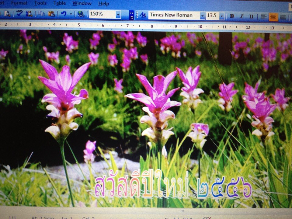 สวัสดีปีใหม่ครับ - เกษม  ทั่งทอง